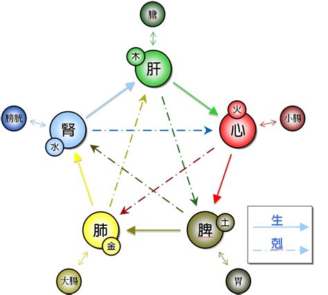 五行面向